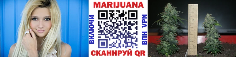 Сколько стоит Бородино Амфетамин  МЕФ  Канабис 
